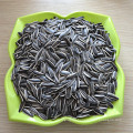 Edible Chinese sunflower seeds